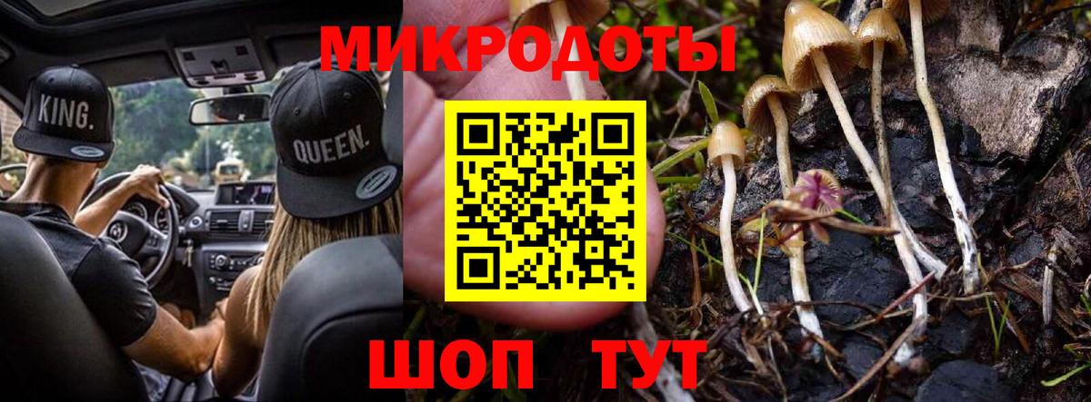 Галлюциногенные грибы Cubensis Пугачёв
